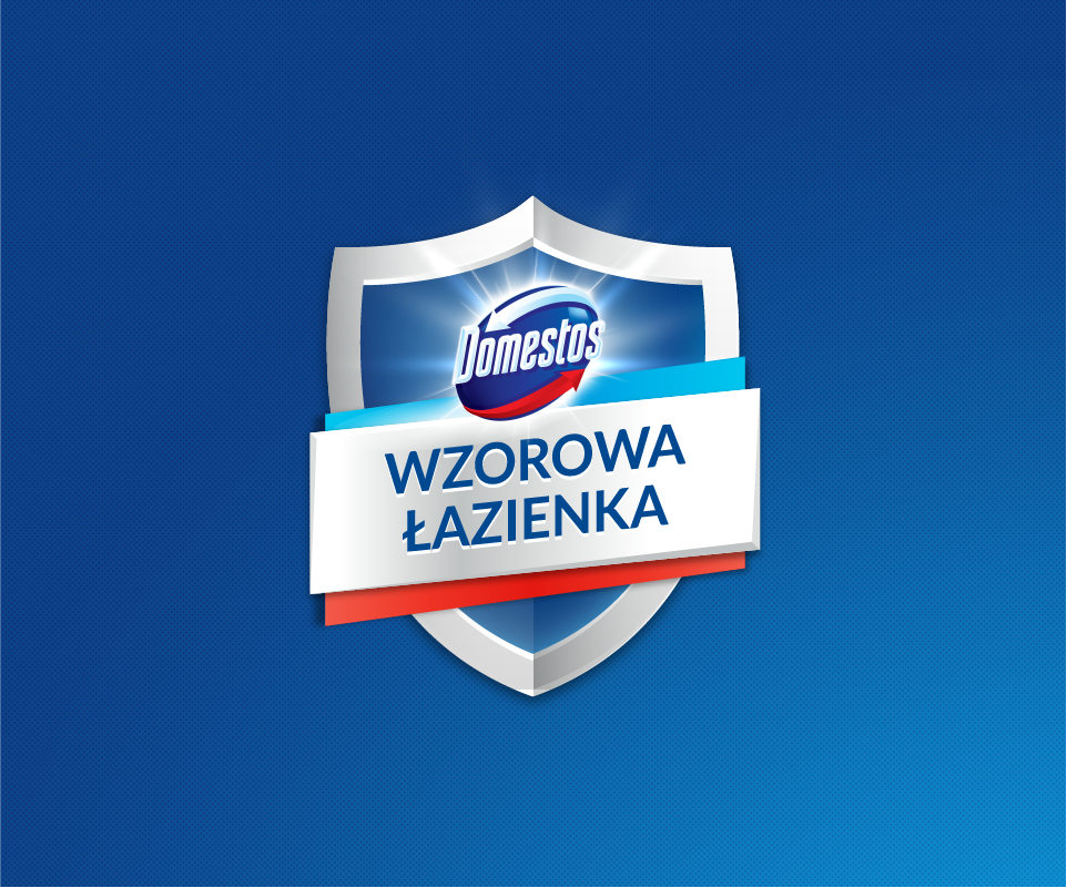 Logo programu Domstos "WZOROWA ŁAZIENKA"