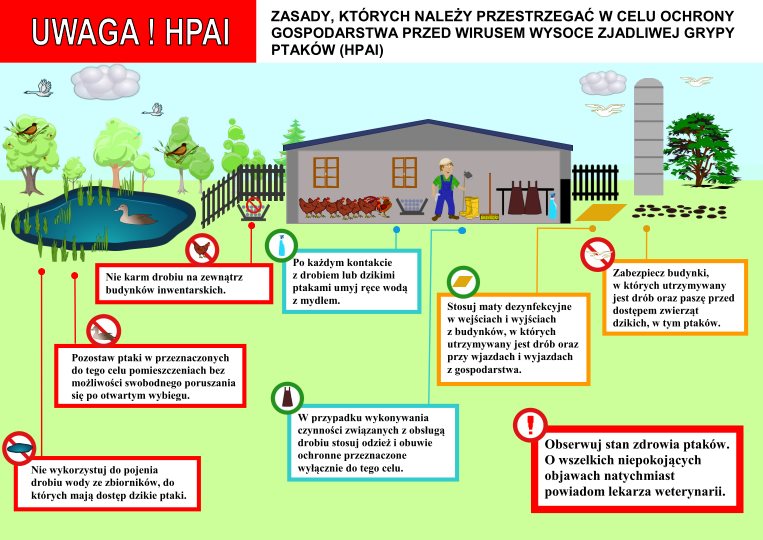 Ulotka określająca zasad, których należy przestrzegać w celu ochrony gospodarstwa przed wirusem wysoce zjadliwej grypy ptaków (HPAI).